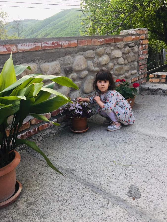 Guest House Babaka Sighnaghi Exterior photo