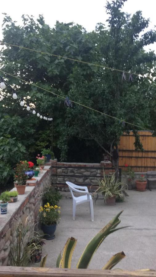 Guest House Babaka Sighnaghi Exterior photo